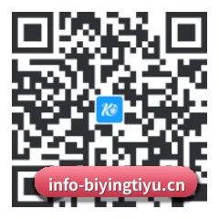 系统版 iOS 二维码